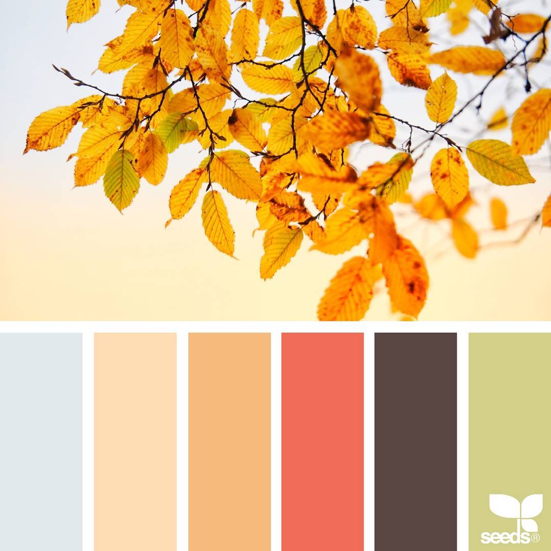 【设计素材】《1000个不过时的配色方案》【JPEG】网盘下载