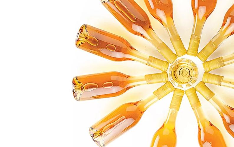 【健康生活】《醉鹅娘葡萄酒词典》[MP3]网盘下载