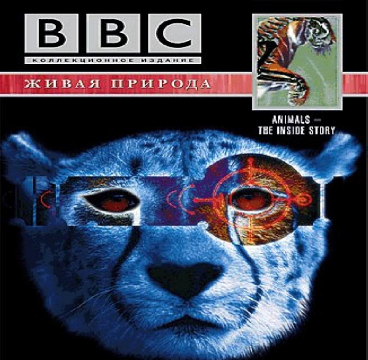 【BBC经典】《透视动物》英语高清纪录片[AVI]百度网盘下载