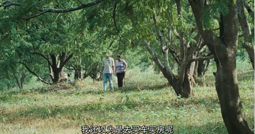【豆瓣7.4】《能召回前世的布米叔叔》英语中字1080P[MKV]百度网盘下载