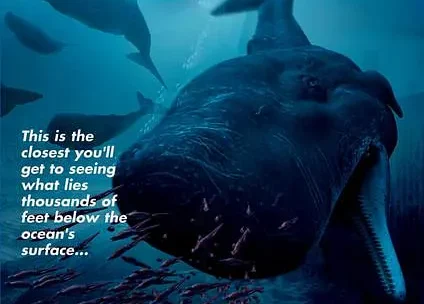 【豆瓣8.8】《海之奥德赛》英语外挂中英双字高清纪录片[AVI]网盘下载