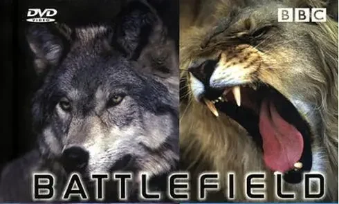 【BBC经典】《动物战场》4集英语外挂中英双字高清纪录片[AVI]网盘下载