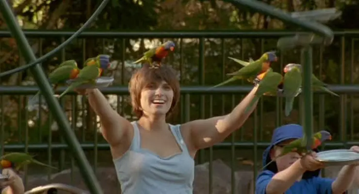 【BBC经典】《野性澳洲》6集英语外挂中英双字高清纪录片[AVI]网盘下载