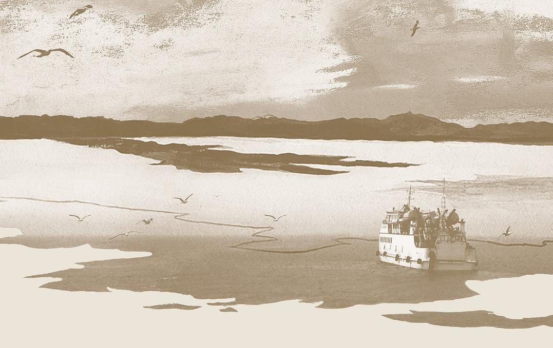 【豆瓣8.1】《寄居者》-严歌苓作品[EPUB]网盘下载