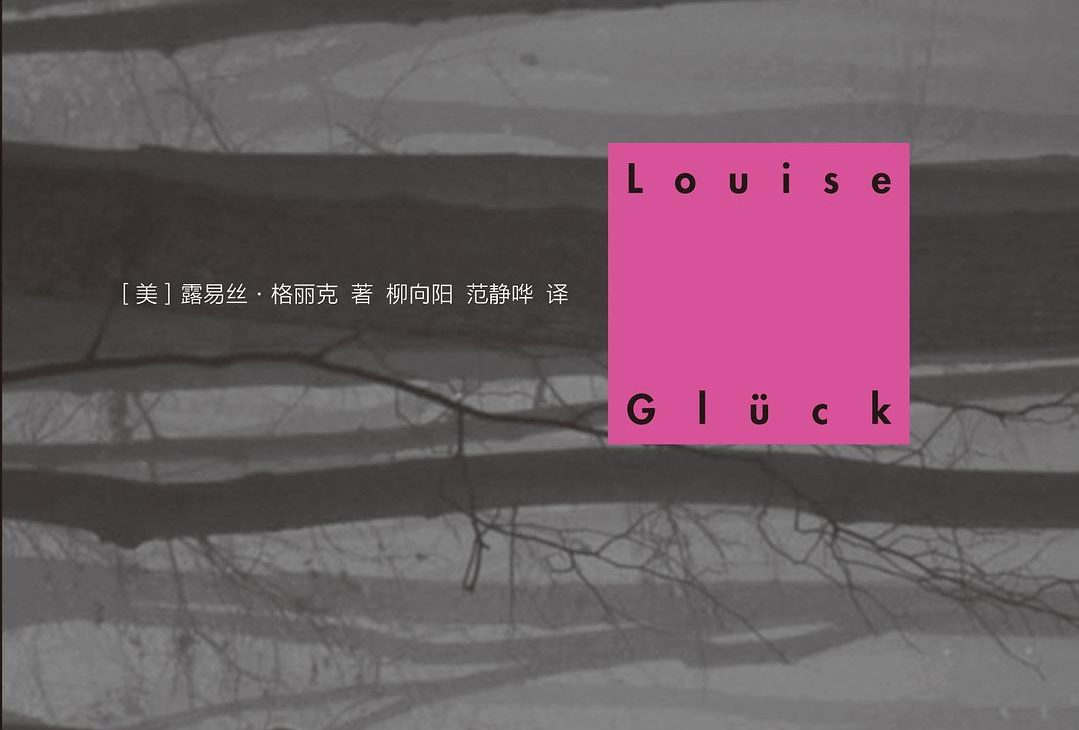 【豆瓣8.1】《直到世界反映了灵魂最深层的需要》诺奖获得者——露易丝·格丽克作品【EPUB】网盘下载