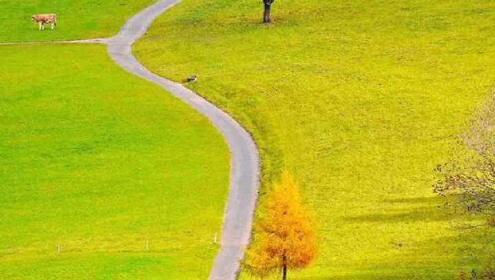 【情感课程】《幸福玛丽娅》[MP3]网盘下载