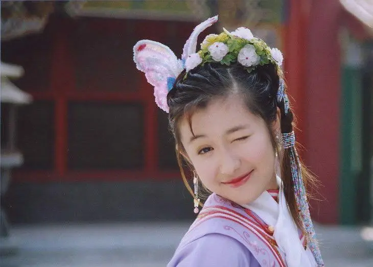 【怀旧国剧】《少年大钦差》50集高清中字[MKV]百度网盘下载