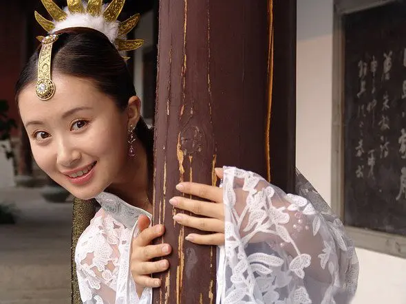 【怀旧国剧】《精卫填海》33集高清中字[MKV]百度网盘下载