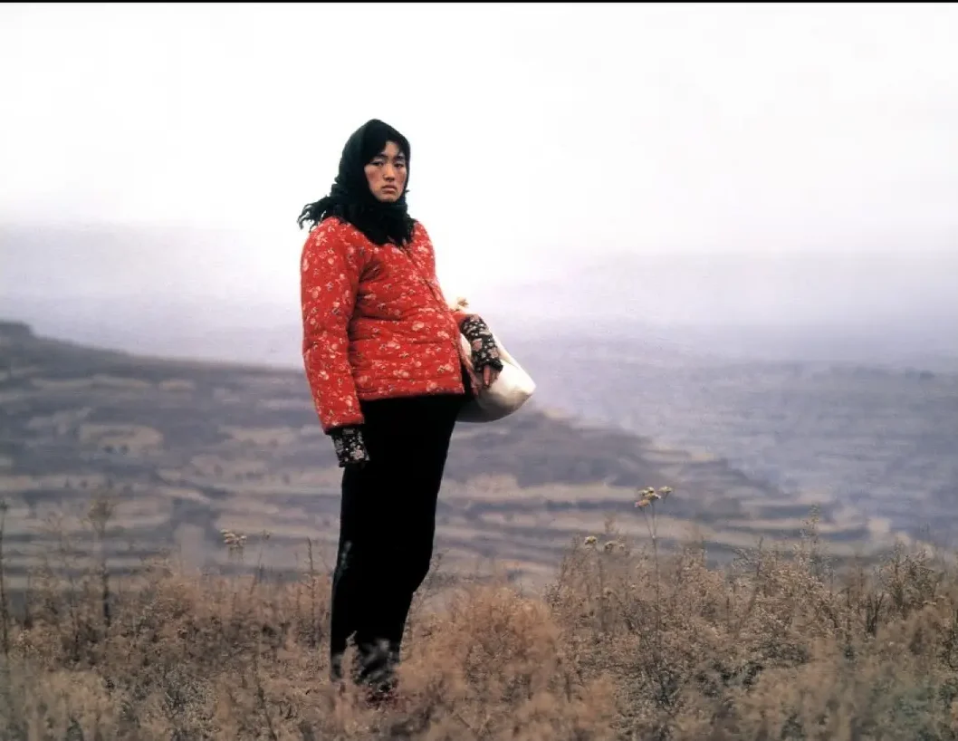 【豆瓣8.2】第49届金狮奖最佳影片《秋菊打官司》中字高清电影[MKV]百度网盘下载