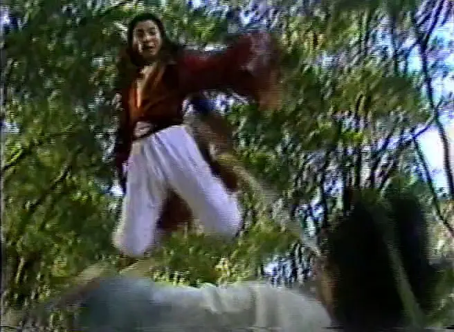 【怀旧台剧】《龙凤奇侠》26集高清中字[MKV]百度网盘下载