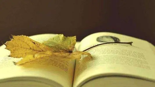 【经典课程】《文学之美》[MP3]网盘下载