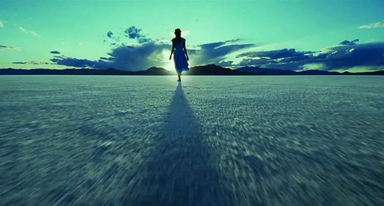 【豆瓣7.2】《生命之树》英语中字高清电影[MKV]百度网盘下载