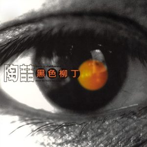 【个人专辑】《黑色柳丁》—陶喆作品[mp3+flac]电子专辑网盘下载