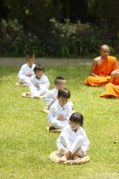 【豆瓣8.6】《爸爸去哪 第三季》国语中字高清综艺在线观看网盘下载