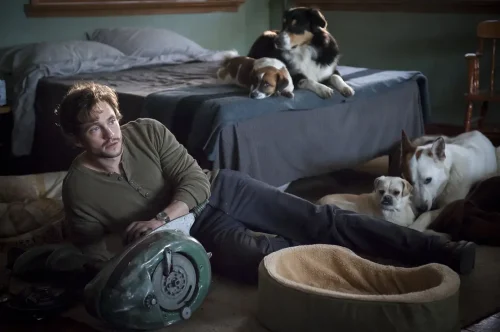 【豆瓣8.6】《汉尼拔 第1-3季》39集高清美剧在线观看网盘下载