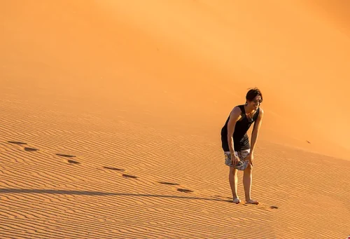 【国综】《花儿与少年 第三季》国语中字高清综艺在线观看网盘下载