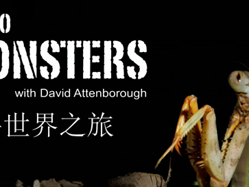 【BBC】《微型猛兽世界之旅》6集高清纪录片在线观看网盘下载