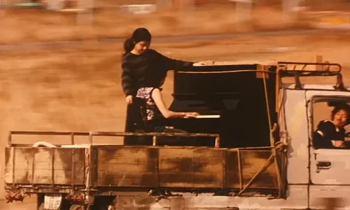 【豆瓣9.1】《燕尾蝶》— 岩井俊二作品高清电影在线观看网盘下载