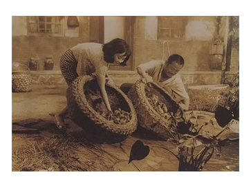 【豆瓣8.5】《养鸭人家》—李行作品高清电影在线观看网盘下载