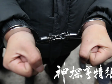 【豆瓣7.0】《神探亨特张》— 高群书作品高清电影网盘下载