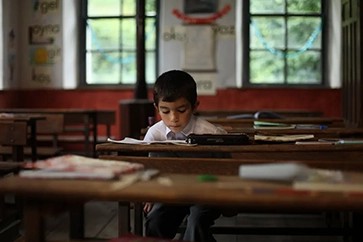 【豆瓣7.9】《蜂蜜》——塞米赫·卡普兰奥卢作品高清电影在线观看网盘下载