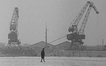 【豆瓣8.0】《谁见他死去》— 扬·特洛尔作品高清电影网盘下载