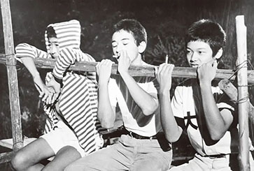 【豆瓣7.9】《台风俱乐部》——森田芳光作品高清电影在线观看网盘下载