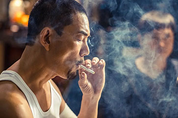 【豆瓣8.1】《树大招风》—许学文、欧文杰、黄伟杰作品高清电影在线观看网盘下载​