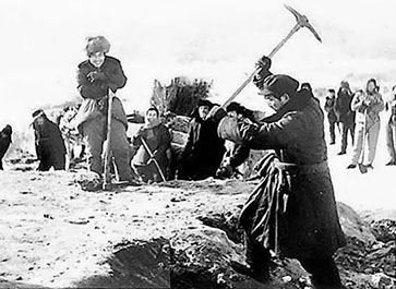 【豆瓣8.3】《不该发生的故事》—张辉、齐兴家作品高清电影在线观看网盘下载