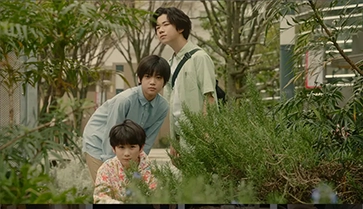 【豆瓣8.8】《柚木家的四兄弟》—高清剧集在线观看网盘下载