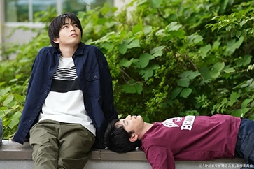 【豆瓣8.2】《向阳之处必有声》—高清剧集在线观看网盘下载