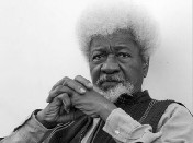 【作家合集】1986年诺贝尔文学奖获得者—沃莱・索因卡代表作合集电子书网盘下载