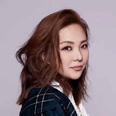 【歌手合集】卫兰音乐专辑作品合集网盘下载​