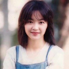 【歌手合集】陈慧娴音乐专辑作品合集网盘下载