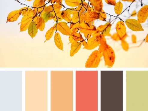 【设计素材】《1000个不过时的配色方案》【JPEG】网盘下载