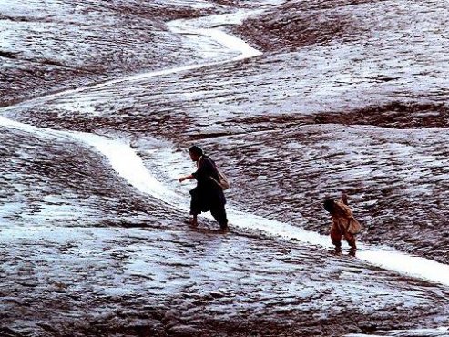 【豆瓣7.5】《醉画仙》韩语中字高清电影[MKV]百度网盘下载