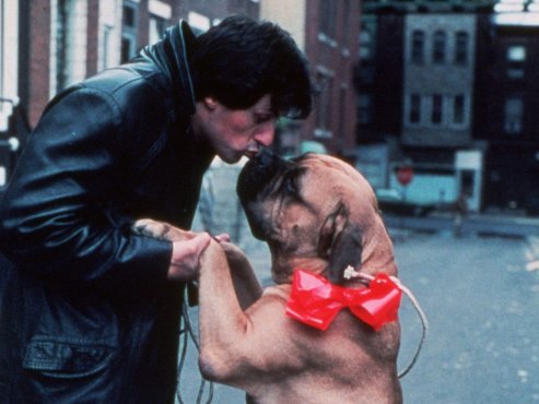 【豆瓣8.8】《洛奇》英语中字高清电影[MKV]百度网盘下载