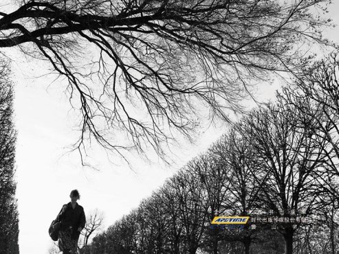 【豆瓣8.2】帕特里克·莫迪亚诺作品·《八月的星期天》[MOBI]网盘下载