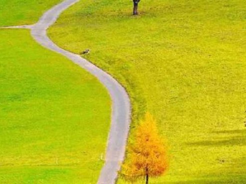 【情感课程】《幸福玛丽娅》[MP3]网盘下载