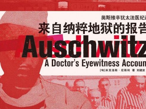 【豆瓣9.1】《来自纳粹地狱的报告》-米克洛斯·尼斯利[EPUB]网盘下载