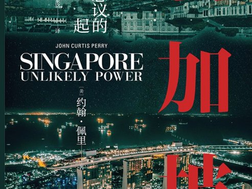 【豆瓣7.9】《新加坡：不可思议的崛起》- 约翰·佩里作品[PDF]网盘下载